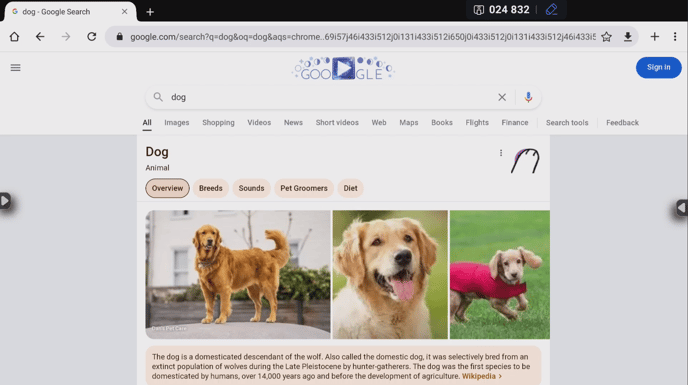 S4 Dog browser example